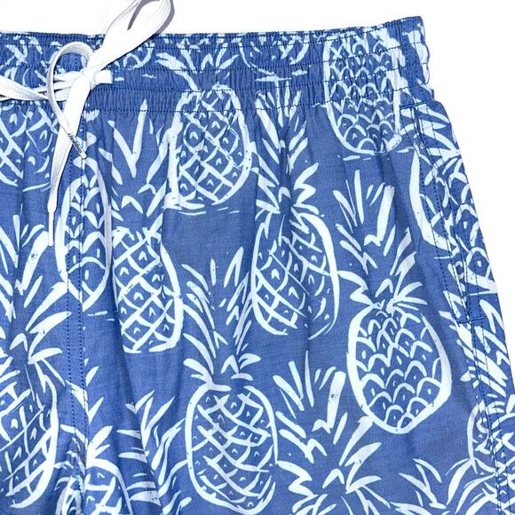 Chubbies The Thigh-Napples Blue Pineapple 5.5” Swim Trunks Size L - Picture 9 of 16